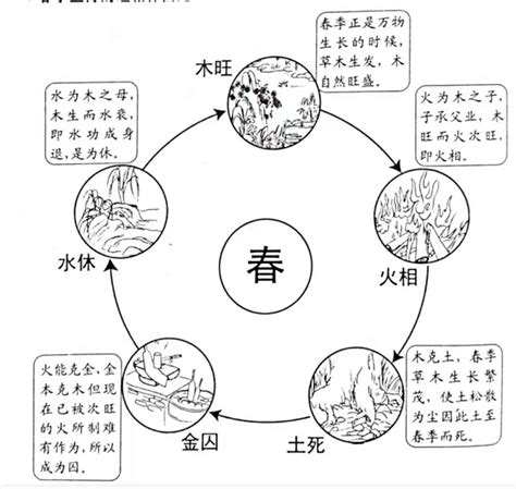 五行旺度|五行的旺、相、休、囚、死